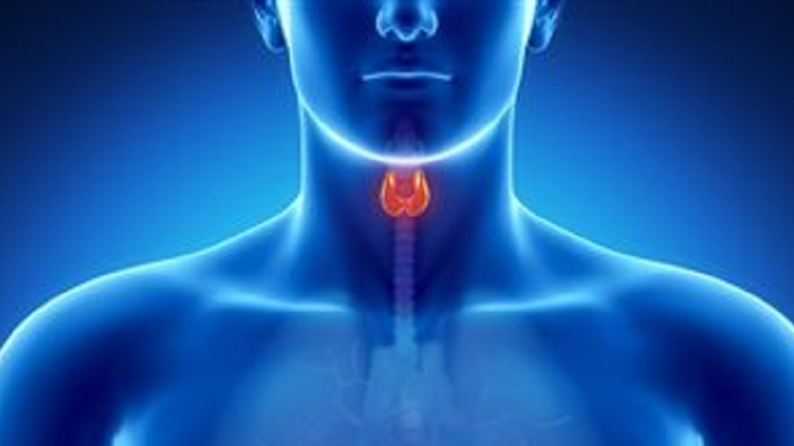 Symptômes, diagnostic… Ce qu'il faut savoir sur le cancer du larynx